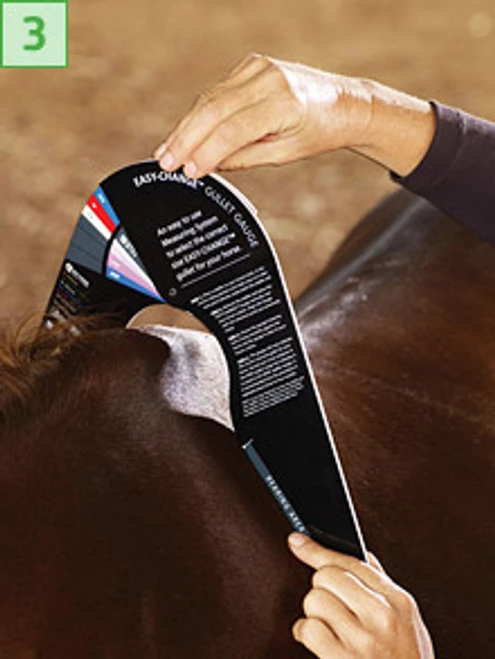 Bates/Wintec Easy Change Gullet Gauge 2 Bates/Wintec Easy Change Gullet Gauge - Image 2