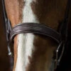 Pessoa PRO Fancy Stitched Wide Bridle