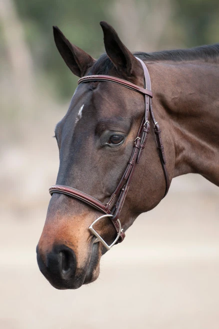 Edgewood Raised Padded Fancy Stitch Bridle With Padded Crown 1 Edgewood Raised Padded Fancy Stitch Bridle With Padded Crown