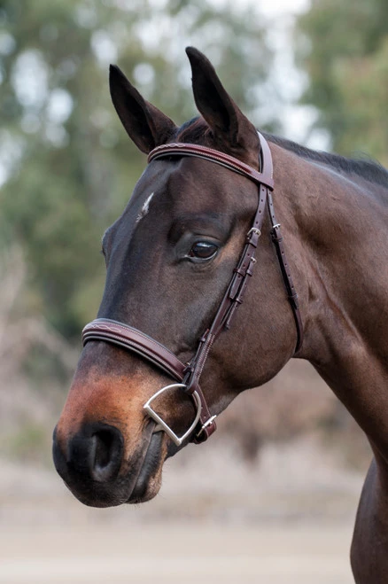 Edgewood Raised Padded Fancy Stitch Bridle With Padded Crown 2 Edgewood Raised Padded Fancy Stitch Bridle With Padded Crown - Image 2