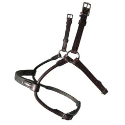 In Horse We Trust Infinity Noseband