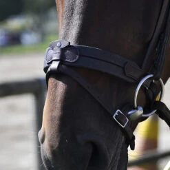 In Horse We Trust Soft T Contact Noseband W/ Flash -Horseware Ireland Sales Soft T Contact 2 08049.1658868277