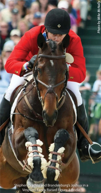 Vespucci Fancy Raised Padded Figure-8 Bridle 1 Vespucci Fancy Raised Padded Figure-8 Bridle