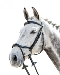 Prestige FS Anatomic Drop Noseband Bridle