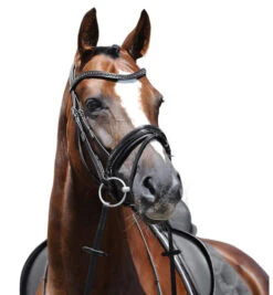 Passier Apollo Patent Leather Snaffle Bridle -Horseware Ireland Sales apollo bridle graphite brow horse 880 passier 58418.1690318594