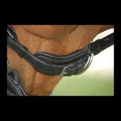 Dy'on Large Crank Noseband Snaffle Bridle 5 Dy'on Large Crank Noseband Snaffle Bridle -Horseware Ireland Sales b152chincloseup 25897 37669.1617485047