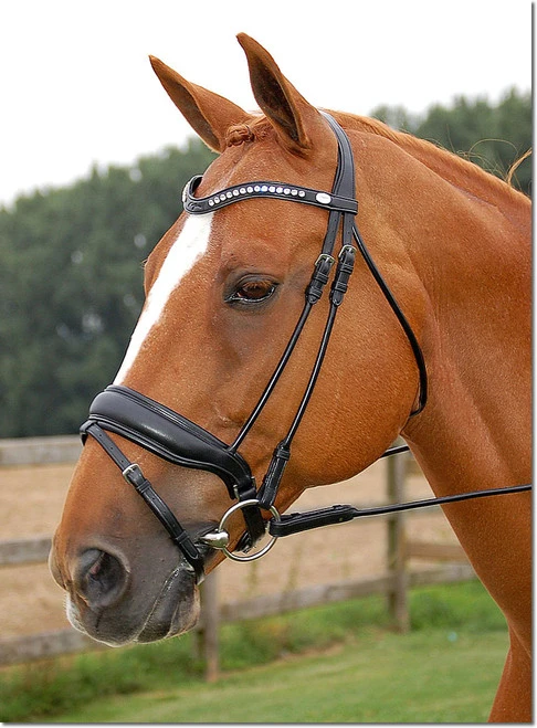 Dy'on Large Crank Noseband Snaffle Bridle 1 Dy'on Large Crank Noseband Snaffle Bridle