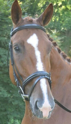 Black Oak Juniper Snaffle Bridle -Horseware Ireland Sales black oak juniper bridle front 37642.1541199613