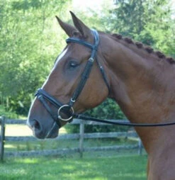 Black Oak Juniper Snaffle Bridle -Horseware Ireland Sales black oak juniper bridle side 03583.1541199609