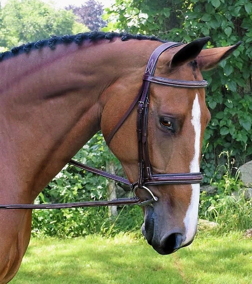 Black Oak Laurel Wide Fancy Stitch Hunter Bridle 2 Black Oak Laurel Wide Fancy Stitch Hunter Bridle - Image 2