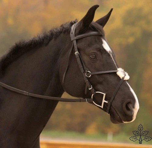 Black Oak Birch Figure 8 Bridle 2 Black Oak Birch Figure 8 Bridle - Image 2