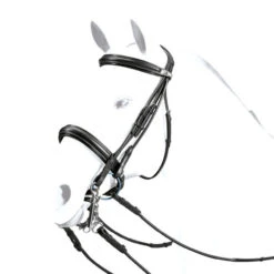 Equipe Roll Double Bridle