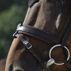 In Horse We Trust Contact Noseband With Flash -Horseware Ireland Sales contact noseband flash havana horse IHWT 85753.1658870509