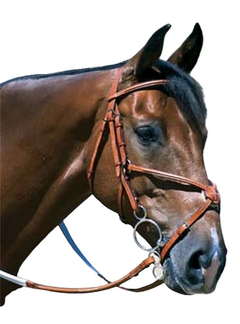 Edgewood Raised Fancy Stitch Padded Figure 8 Bridle 1 Edgewood Raised Fancy Stitch Padded Figure 8 Bridle