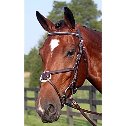 Nunn Finer Figure-8 Bridle 1 Nunn Finer Figure-8 Bridle