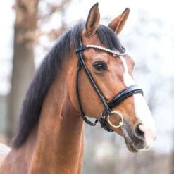 Kavalkade Florina Rolled Snaffle Bridle -Horseware Ireland Sales florina snaffle bridle black horse 19047 07 kavalkade 47178.1680908667