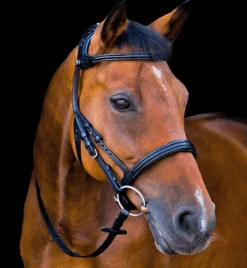 Stubben Freedom Bridle -Horseware Ireland Sales freedom bridle flash black Rside 2125003RFS stubben 63934.1630187773