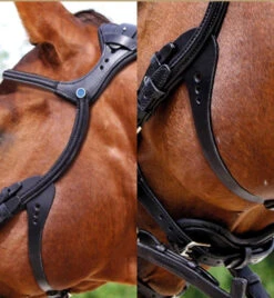 Stubben Freedom Bridle -Horseware Ireland Sales freedom bridle flash black cheek 2125003RFS stubben 88834.1630187857