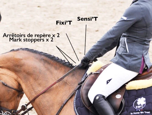 In Horse We Trust Reins Adjust 2 In Horse We Trust Reins Adjust - Image 2