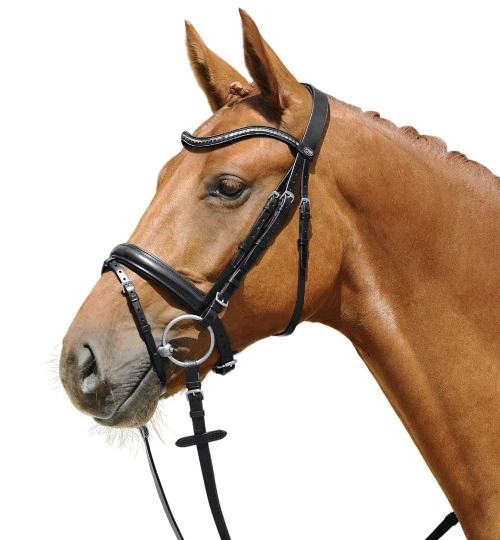 Passier Juno Snaffle Bridle 1 Passier Juno Snaffle Bridle