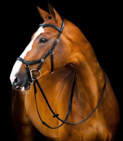 Horseware Ireland Horseware Micklem 2 Deluxe Competition Bridle 10 Horseware Ireland Horseware Micklem 2 Deluxe Competition Bridle -Horseware Ireland Sales micklem2 dlx competition black SBMUM2 K000 SC HW 63404.1689874464