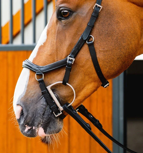Horseware Ireland Horseware Micklem 2 Deluxe Competition Bridle 5 Horseware Ireland Horseware Micklem 2 Deluxe Competition Bridle - Image 5