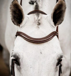 Horseware Ireland Horseware Micklem 2 Deluxe Competition Bridle 13 Horseware Ireland Horseware Micklem 2 Deluxe Competition Bridle -Horseware Ireland Sales micklem2 dlx competition havana browband SBMUM2 NAB0 SC horseware ireland 79266.1689874481