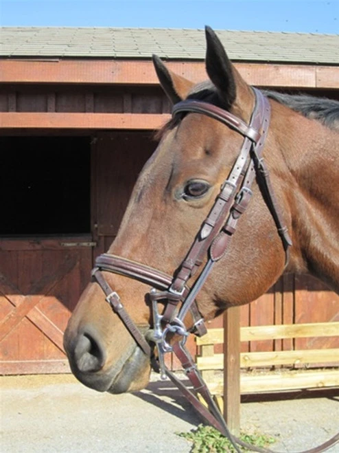 Nunn Finer Leather Gag Hanger 2 Nunn Finer Leather Gag Hanger - Image 2