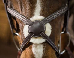 Pessoa PRO Fancy Stitched Figure-8 Bridle -Horseware Ireland Sales pessoa pro fs figure 8 bridle brown nose 470463 pessoa 99095.1633289826